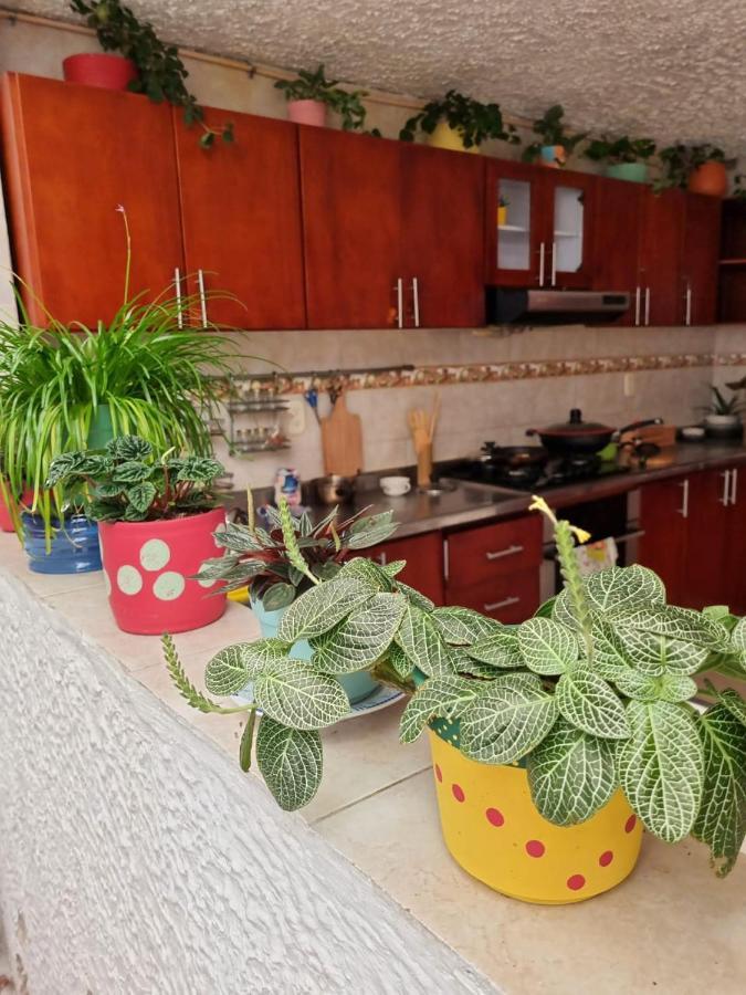Tatami Hostel Букараманга Екстериор снимка