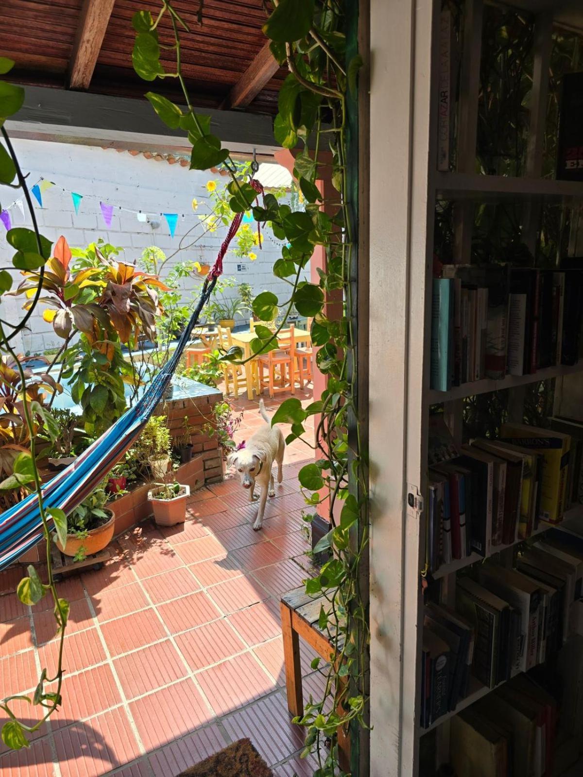 Tatami Hostel Букараманга Екстериор снимка